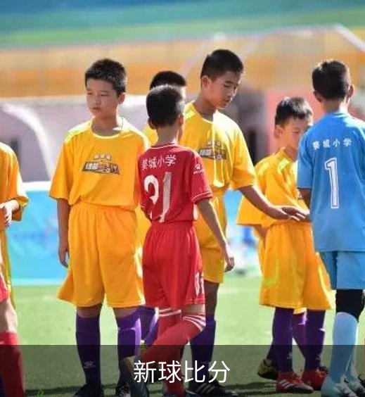 新球比分概况