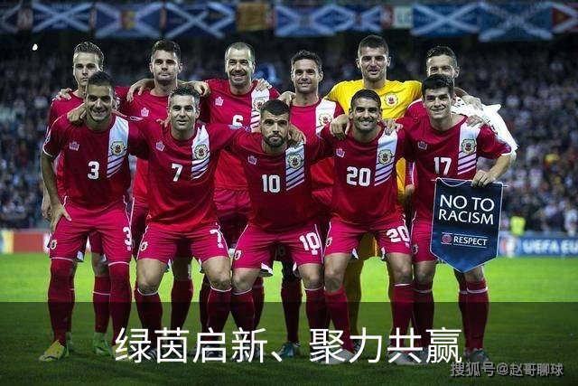 绿茵启新、聚力共赢